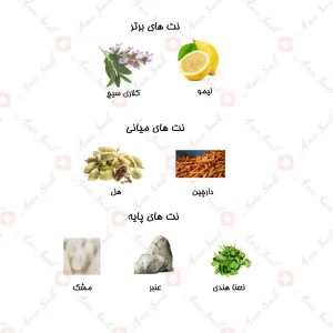 ادکلن شيري بشري Bushra naseem 80 ml2