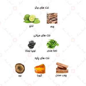 ادکلن_شيري_ثلجي_نسيم_Thaljee_Naseem_80_ml_2