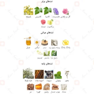 ادکلن فراگرنس مجی نویر Magie Noire