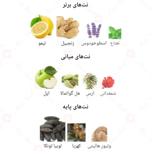 ادکلن_آزور_هانتد_Fragrance_World_Azzure_Hunted