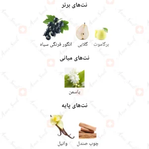 ادکلن_آی_اس_اینتنس_قرمز_IS_Intense_Fragrance_World_