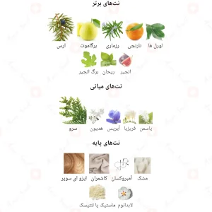 ادکلن_اسنتریک_مولکول_05_Escentric_Molecule_055