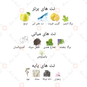 ادکلن_اغواص_ارض_الزعفران_al_ghawas_ard_al_zaafaran2