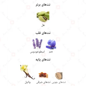 ادکلن_اوربان_من_فراگرنس_ورد_Fragrance_World_Urban_Man5