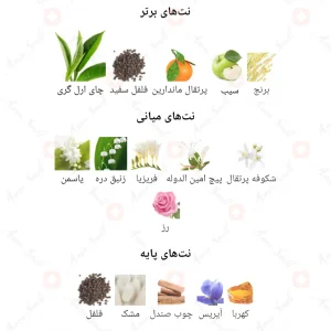 ادکلن_اولیور_استایل_Fragrance_world_OLIVIER_STYLE