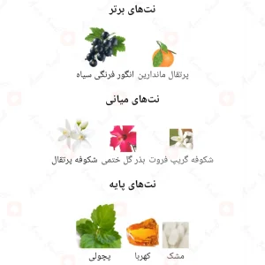 ادکلن_اونیرو_فلورنس_Oniro_Florence_Fragrance_World