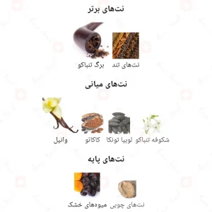 ادکلن_برون_ارکید_گلد_Fragrance_world_Brown_Orchid_gold