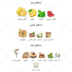 ادکلن_بلیوبل_فراگرنس_ورد_Fragrance_world_Believable