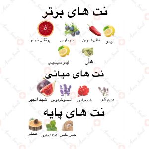 ادکلن_تاج_الملک_ارض_زعفرانTaj_Al_Malik_ard_al_zaafaran