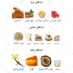 ادکلن_توئنتی_فور_گلد_Fragrance_World_24_Gold