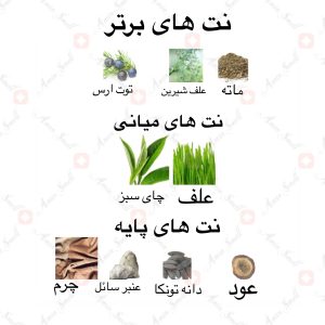ادکلن_دارالشباب_رویال_ارض_زعفران_Daar_Al_Shabaab_Royal_Ard_Al_Zaafaran2