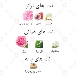 ادکلن_رز_پاریس_ارض_الزعفران_rose_paris_by_ard_al_zaafaran2