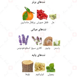 ادکلن_سولو_پور_هوم_بلو_Solo_Pour_Homme_Blue_