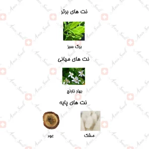 ادکلن_شيري_80_ميل_برهان_نسيم_burhan_Naseem1