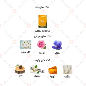 ادکلن_شيري_داليه_نسيم_Daliya_Naseem_100_ml