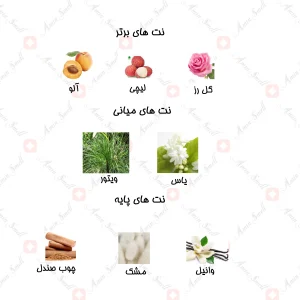 ادکلن_شيري_داليه_نسيم_Daliya_Naseem_80_ml_1