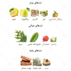 ادکلن_فرگرانس_ورد_فرند_Fragrance_World_Friend_