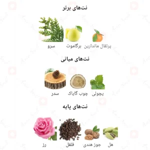 ادکلن_مردانه_اویدنس_Fragrance_world_Evidence