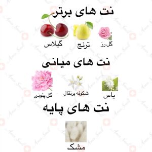 ادکلن_من_ملکه_ارض_زعفران_هستم_I_Am_The_Queen_Ard_Al_Zaafaran