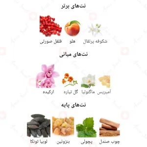 ادکلن_پوس_اکستریم_فرگرانس_ورد_Pause_Extreme