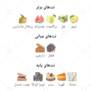 ادکلن_چیک_فراگرنس_ورد_Fragrance_world_Cheek_for_men