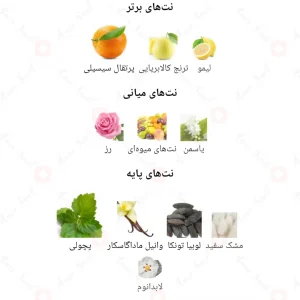 ادکلن_کانال_د_موزل_اینتنس_Canal_De_Moiselle_Intense