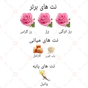 ادکلن_گل_رز_پاریس_در_شکوفه_ارض_الزعفران_rose_paris_in_bloom_ard (1)