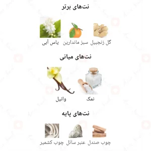 افیلیا_زنانه_فراگرنس_ورد_Fragrance_world_Ophylia