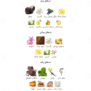 براون_ارکید_مردانه_Fragrance_world_Brown_orchid