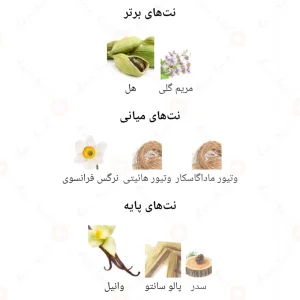 جنیون_من_جوانچی_سوسایتی_Genuine_Man_Giovany_Society