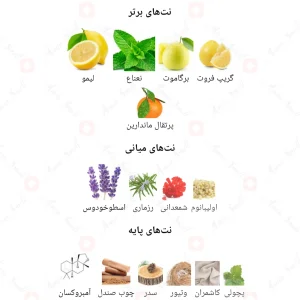 عطر مارلی سدلی Fragrance World Marly Sedley