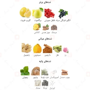 عطر ونتی ابسولو VENTI Absolu Fragrance world