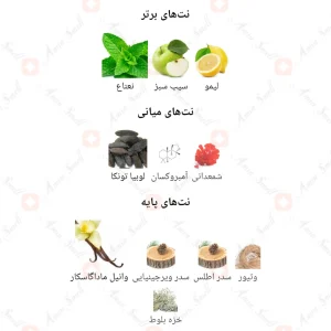 عطر_ادکلن_دس_تنتیشن_Fragrance_world_Des_Tentations