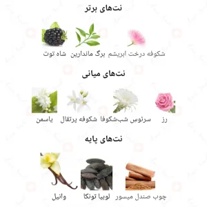 عطر_ثینکینگ_آف_یو_رز_ادیشن_Thinking_Of_You_Rose_Edition