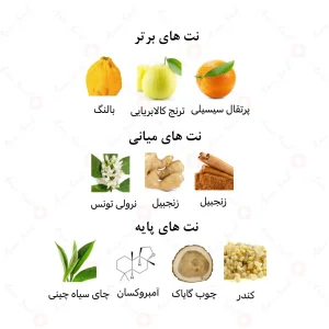 عطر_داون_تاون_اوشن_امپرDowntown_ocean_Emper (1)