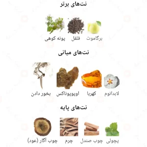 عطر_فراگرنس_ورد_آمواج_اینتروود_Amwaaj_Interwood