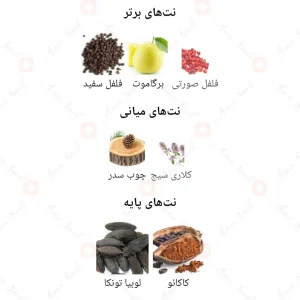عطر_فراگرنس_ورد_بد_لد_Fragrance_World_Bad_Lad