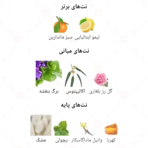 عطر_فراگرنس_ورد_لا_بروتا_Casamorando_La_Bruta
