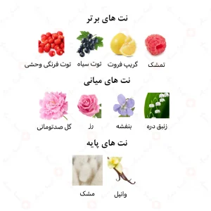 عطر_فسیو_اسنس_امپرFasio_Essence_Emper (1)