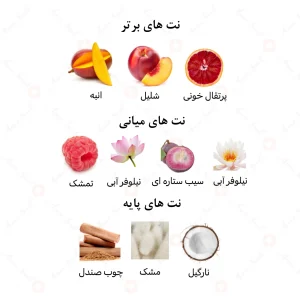 عطر_لیدی_پرزنت_امپرLady_Presidente_Emper (1)