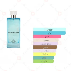 عطر_ویلد_بلوز_بلو_مردانه_Fragrance_world_Wild_Blues