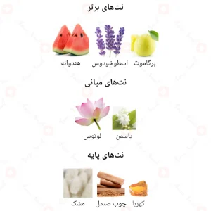 عطر_ویلد_بلوز_بلو_مردانه_Fragrance_world_Wild_Blues