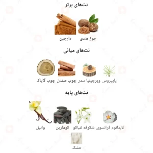 عطر_کازاموراندو_آیدل_ومن_casamorando_ideal_women
