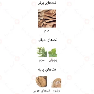 فراگرنس_ورد_ابسولوت_پور_هوم_Absolute_Pour_Homme