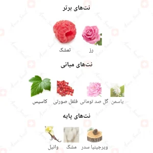 فراگرنس_ورد_رز_میدنایت_Fragrance_World_Midnight_Rose