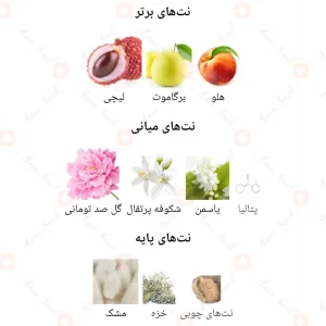 فلور_نارکوتیک_فراگرنس_ورد_Fleur_Narcotique