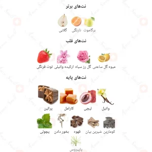 لانویت_رز_فرگرانس_ورد_Fragrance_World_La_Nuit_Rose