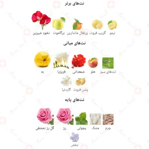 مای سولمیت Fragrance World my soulmate