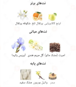 مای_وی_پارفوم_فرگرانس_ورد_UR_Way_Parfum