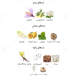 مدل_نایت_کلاب_سیلکی_fragrance_world_night_club_silky